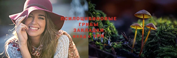 индика Заводоуковск