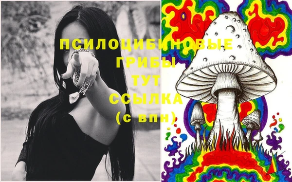молекула духа Алексин