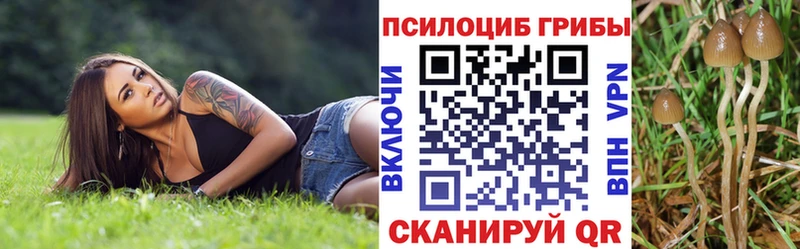 ссылка на мегу маркетплейс  Нижние Серги  Псилоцибиновые грибы Cubensis 